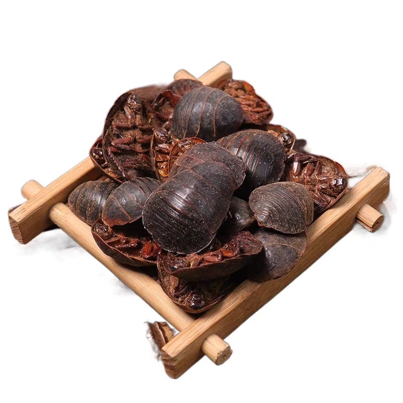 中药材中华野生正品土鳖虫簸箕虫可打粉鳖土虫特级土元地鳖虫