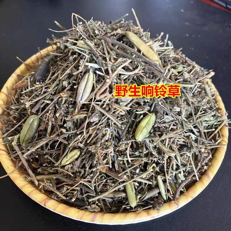 响铃草中药材马响铃野花生马铃草野生250g包邮