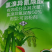 农爱多50%氯溴异氰尿酸真菌细菌黄瓜霜霉软腐病毒病杀菌剂