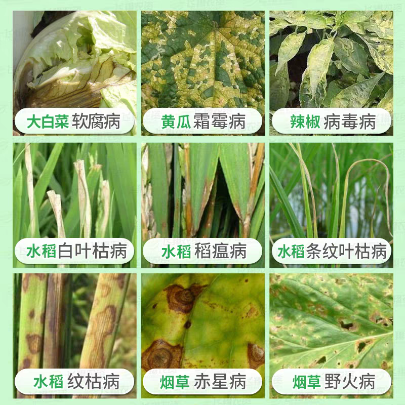 农爱多50%氯溴异氰尿酸真菌细菌黄瓜霜霉软腐病毒病杀菌剂