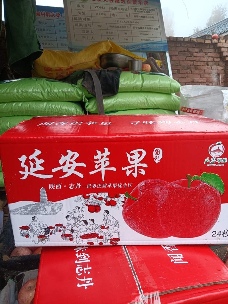 核桃