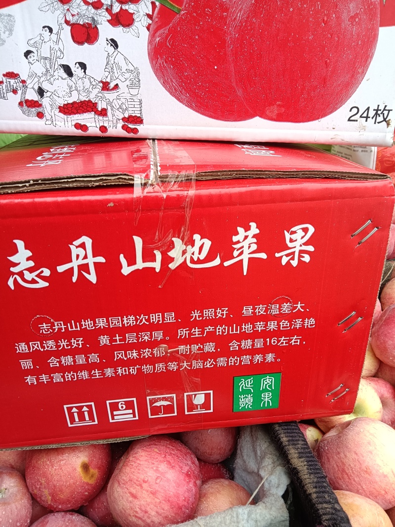 核桃
