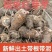 江西红芽芋芋头软糯香甜农家自种新鲜现挖价格优惠