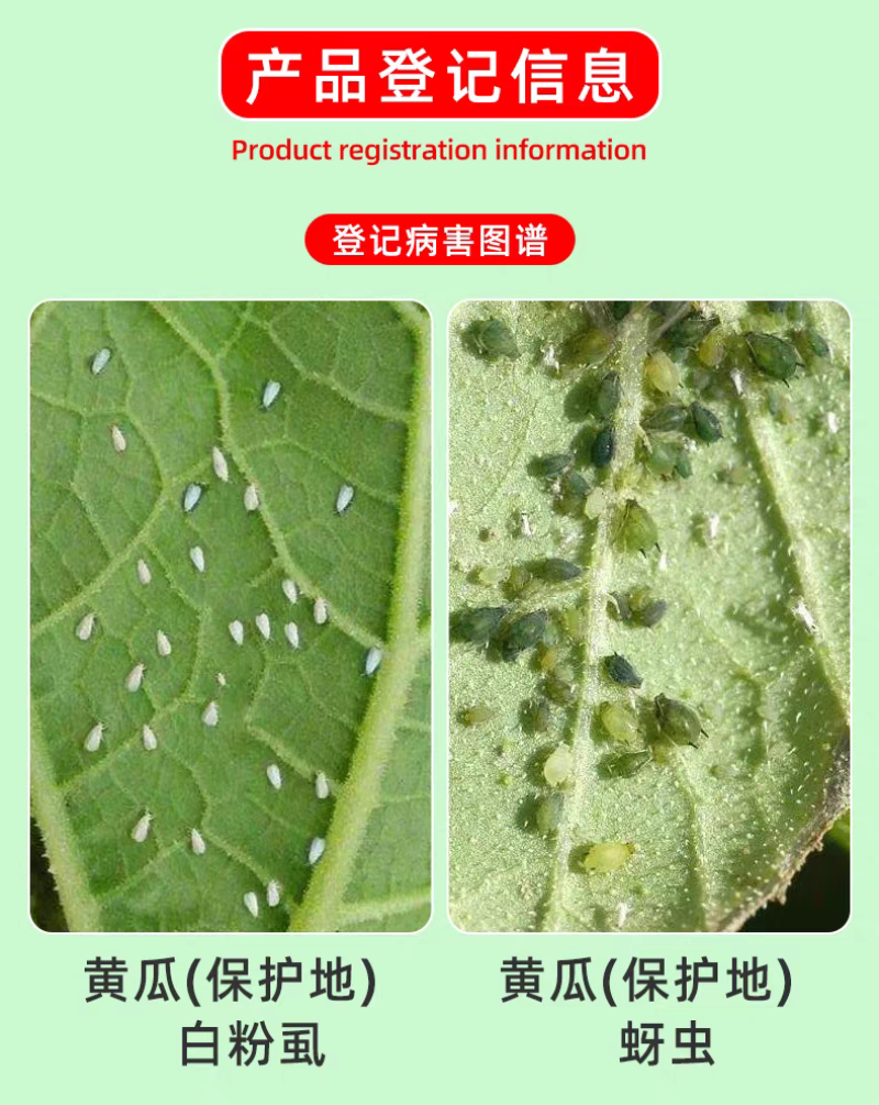 棚喜保12%哒螨灵异丙威蔬菜黄瓜白粉虱蚜虫大棚农药烟熏剂