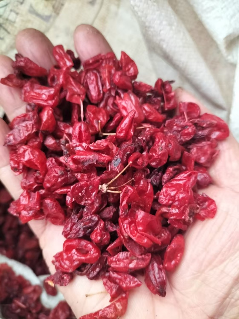 【精品】栾川山萸肉，山茱萸肉，一手货源，可视频看货