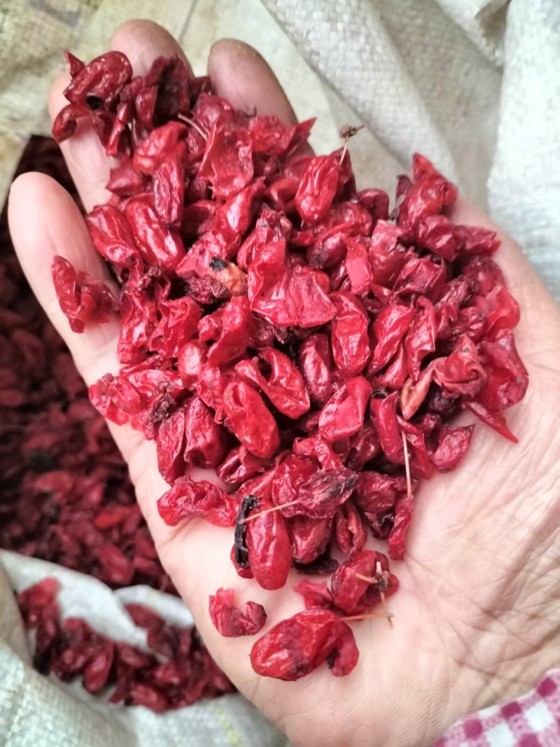【精品】栾川山萸肉，山茱萸肉，一手货源，可视频看货