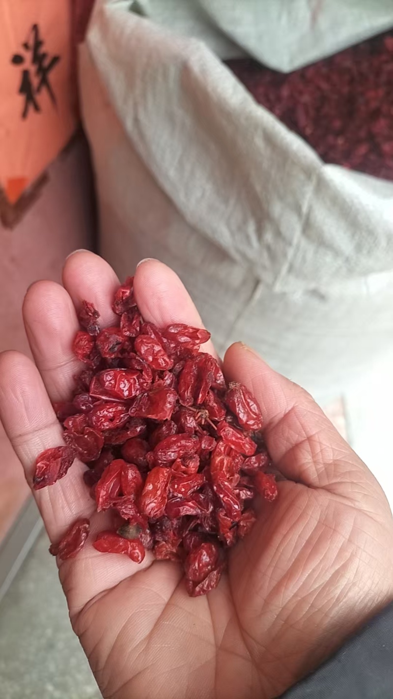 【精品】栾川山萸肉，山茱萸肉，一手货源，可视频看货