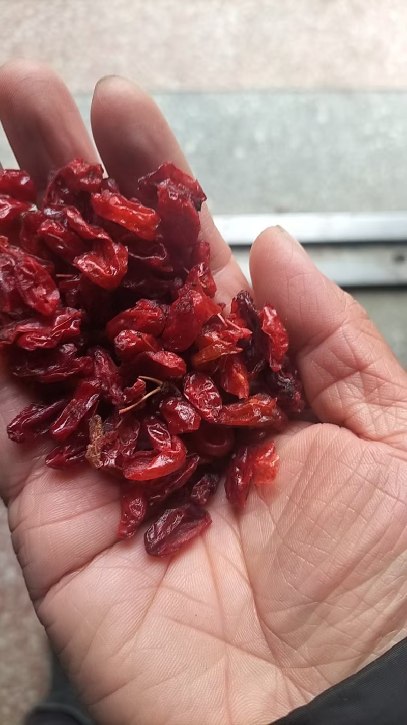 【精品】栾川山萸肉，山茱萸肉，一手货源，可视频看货