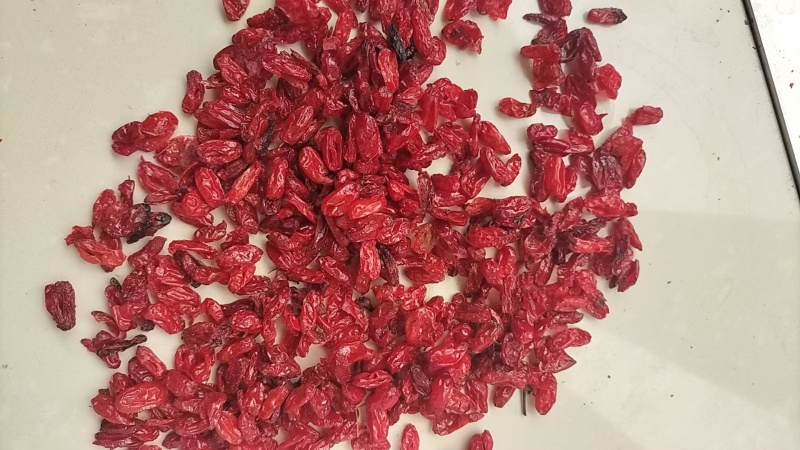 【精品】栾川山萸肉，山茱萸肉，一手货源，可视频看货