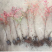 火焰南天竹红天竹树苗南北方地栽盆栽苗耐旱耐寒植物四季好养