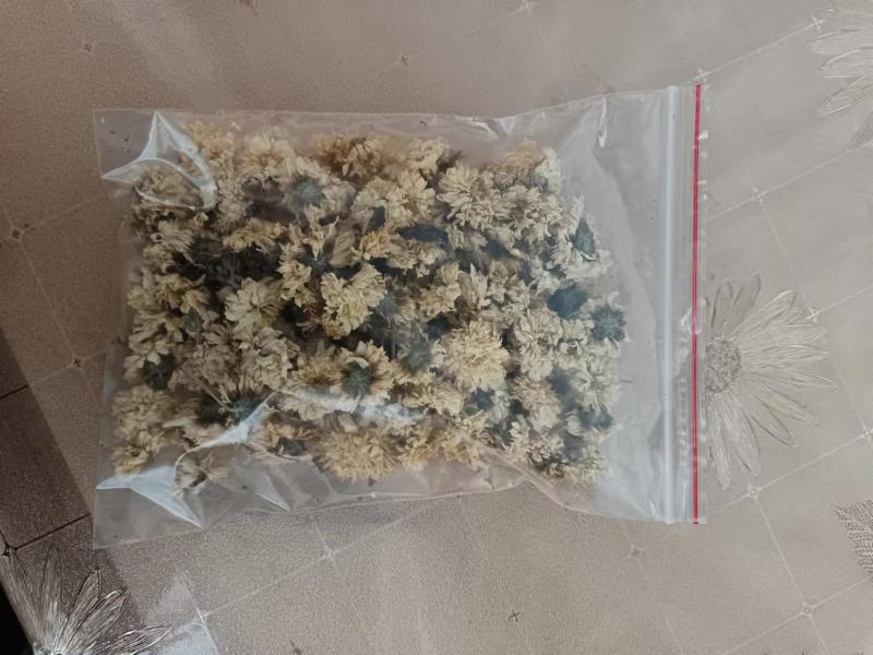 焦作怀庆府特产菊花可药用大量有货价格优惠量大从优