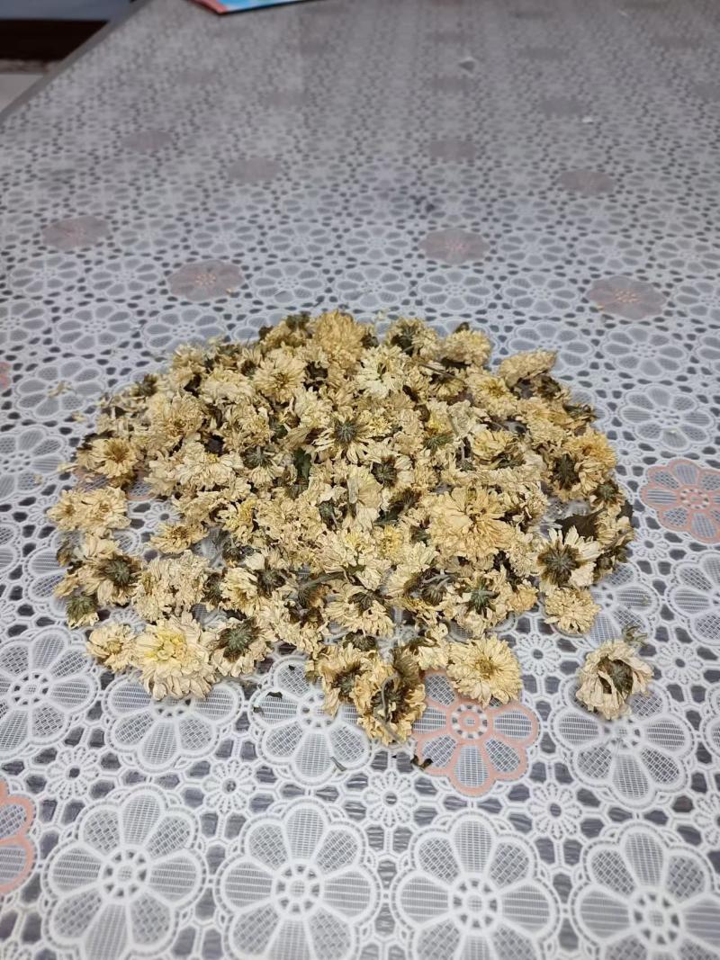 焦作怀庆府特产菊花可药用大量有货价格优惠量大从优