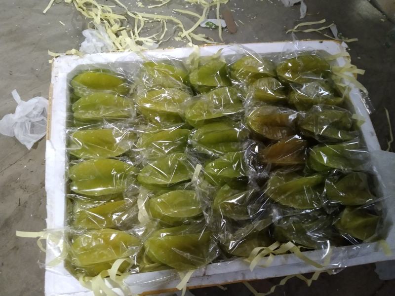 杨桃现货电商市场都可装