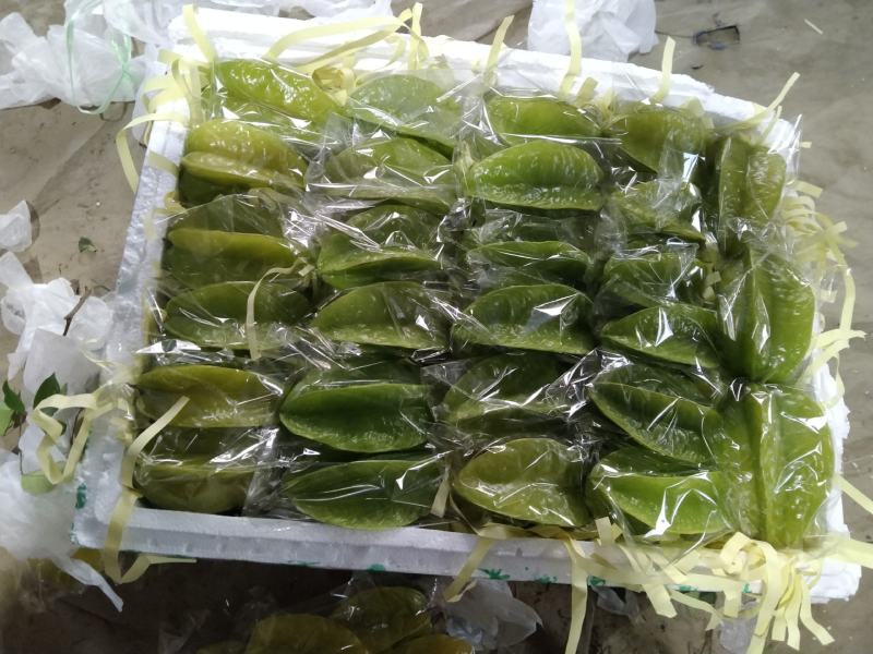 杨桃现货电商市场都可装
