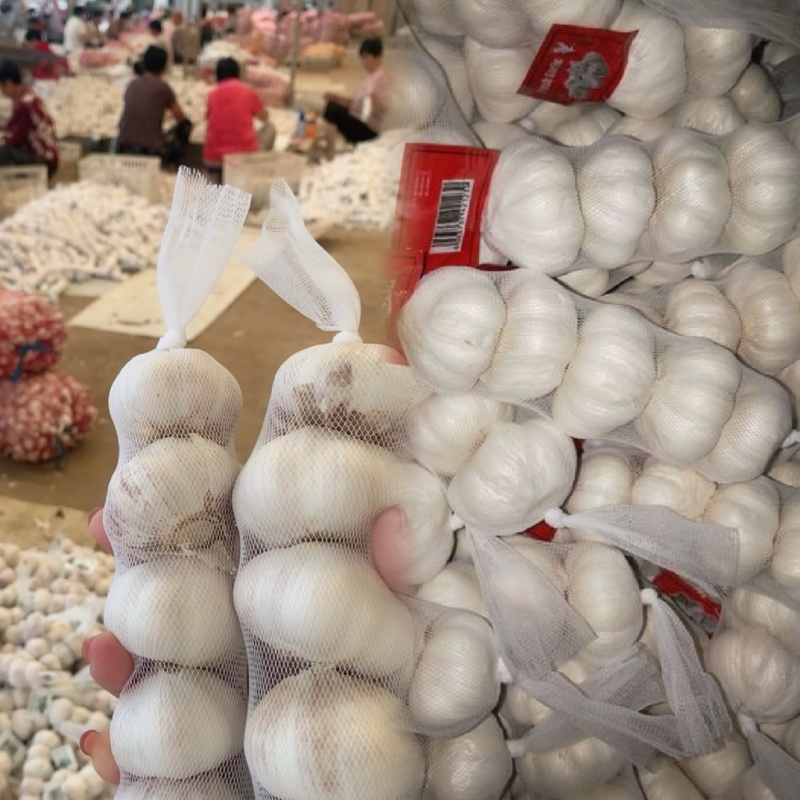【商超市场工厂优选】大蒜新蒜老蒜紫皮蒜产地货源品质保证