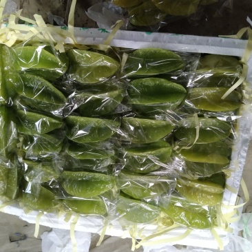 杨桃现货电商市场都可装