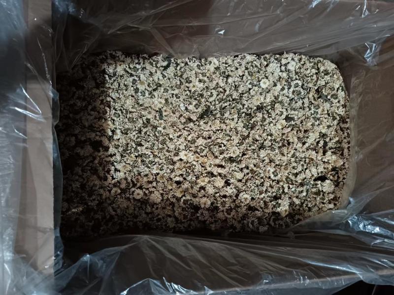 怀菊花零售批发都能走批发价更优口感好货精品优选