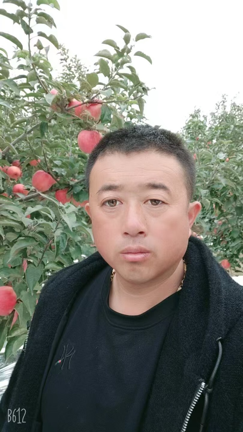 【牛商实力推荐】红富士苹果产地直供对接批发商