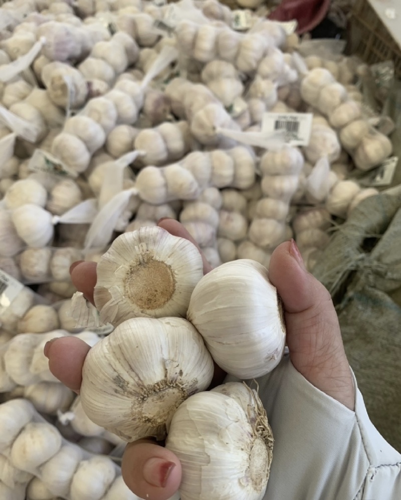 【商超市场工厂优选】大蒜新蒜老蒜紫皮蒜产地货源品质保证