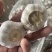 【商超市场工厂优选】大蒜新蒜老蒜紫皮蒜产地货源品质保证