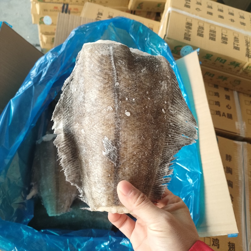 鲽鱼鲽鱼身深海鱼箱装今年新货500-600克货