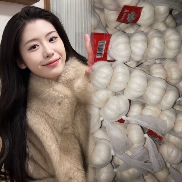 【商超电商市场优选】大蒜紫皮蒜产地精品货源可加工
