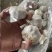 【商超电商市场优选】大蒜紫皮蒜产地精品货源可加工
