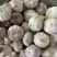 【商超电商市场优选】大蒜紫皮蒜产地精品货源可加工