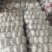 【商超电商市场优选】大蒜紫皮蒜产地精品货源可加工