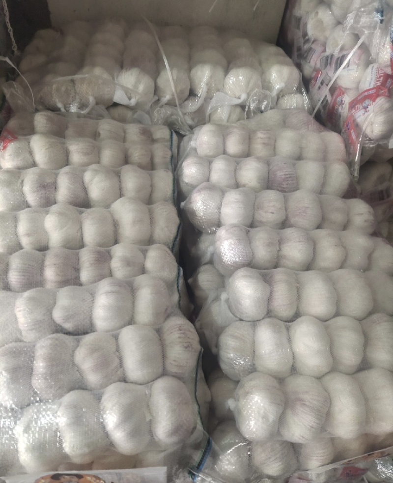 【商超电商市场优选】大蒜紫皮蒜产地精品货源可加工