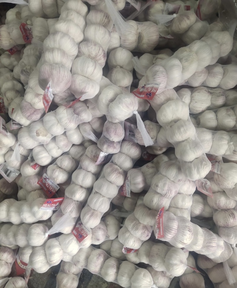 【商超电商市场优选】大蒜紫皮蒜产地精品货源可加工