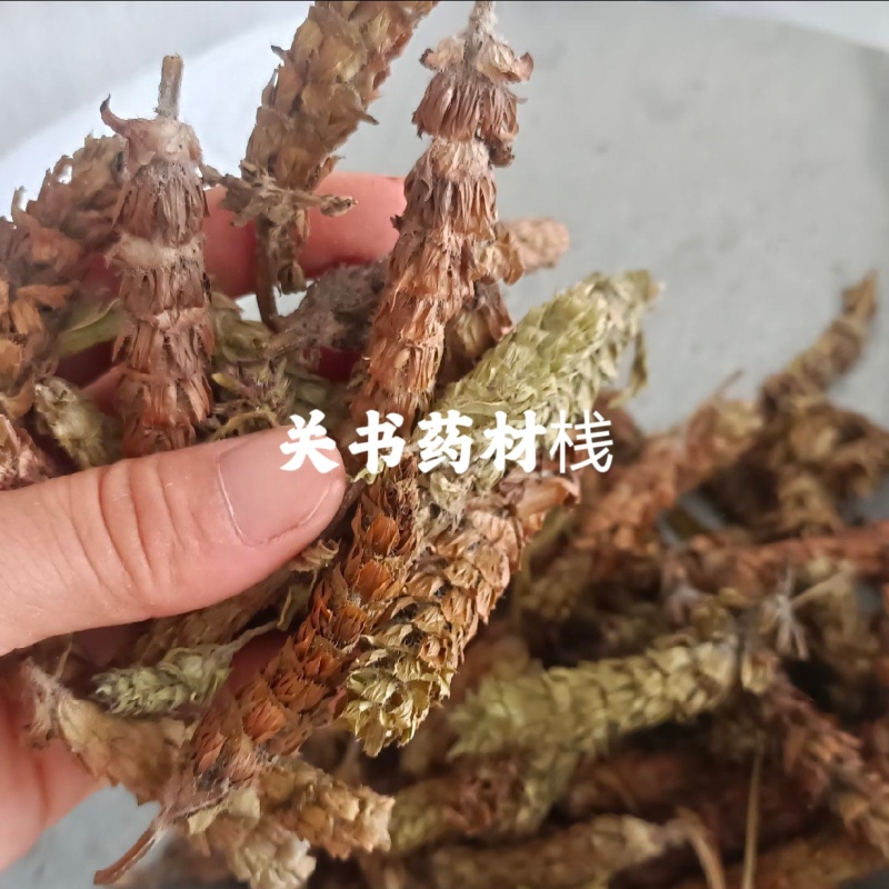 夏枯球，精选，手捡货，规格齐全关书药材桟品质保证！