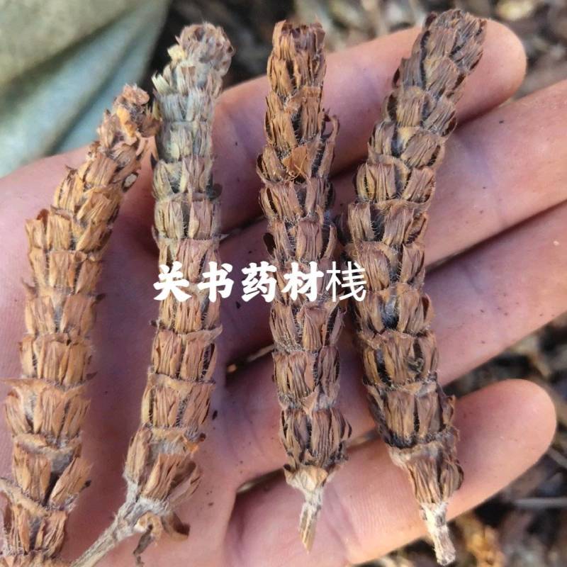 夏枯球，精选，手捡货，规格齐全关书药材桟品质保证！