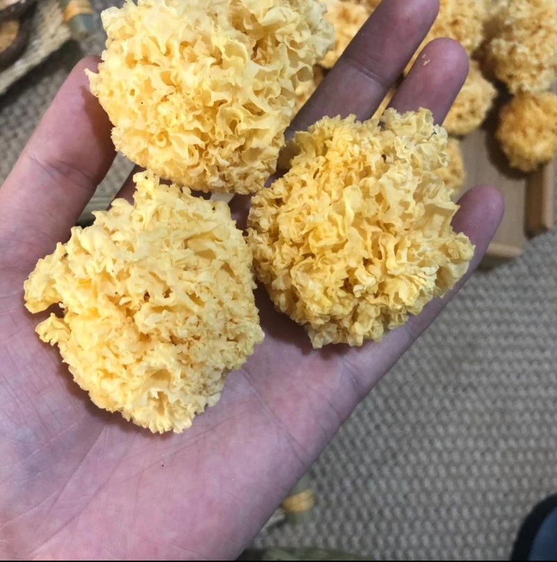 银耳