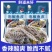 泡椒鱼皮工厂直供各大电商一件代发团购商超线上线下