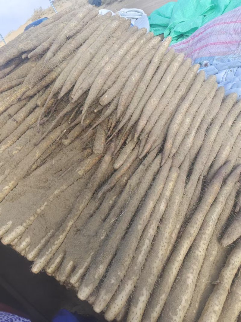 精品白玉山药产地直发品质保证量大从优一手货源欢迎联系