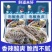 泡椒鱼皮工厂直供各大电商一件代发团购商超线上线下