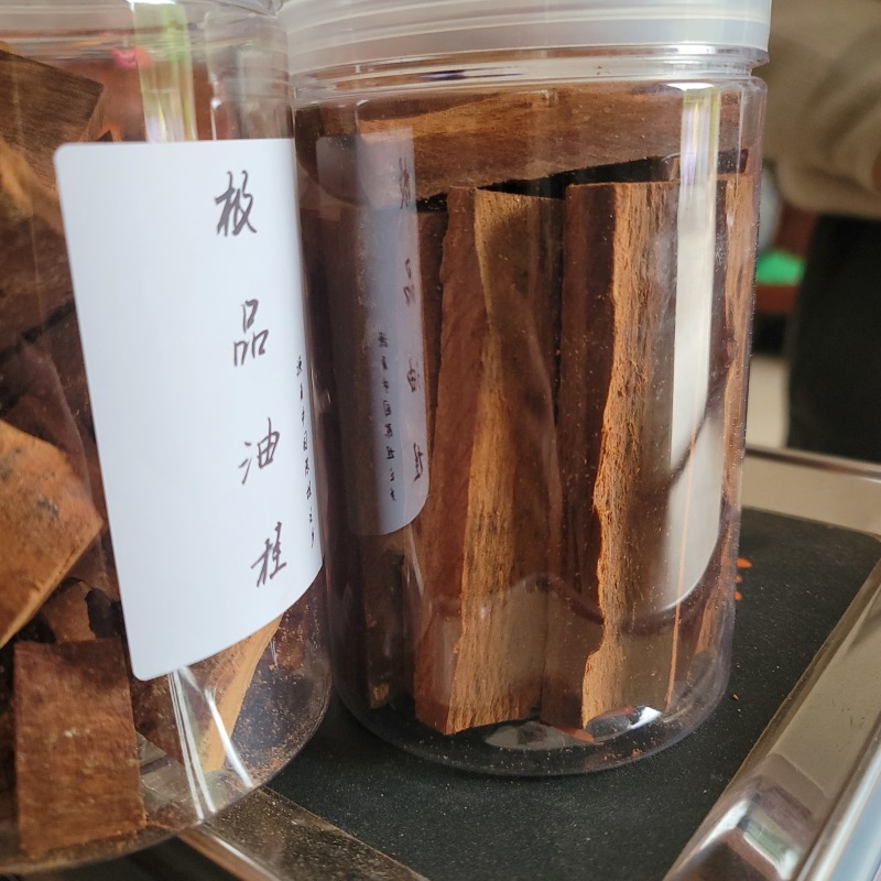 岭南御桂老油胸围1.98米*主杆高4.38米桂族皇后