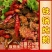 铁锅炖大鹅开袋加热即食团购饭店直播一件代发
