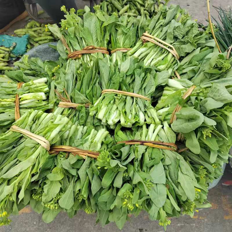 白菜苔，湖北产地大量有货，保质保量，可视频看货