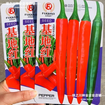 基地红美人椒种子大果海花红辣椒种子香辣耐裂果升级404
