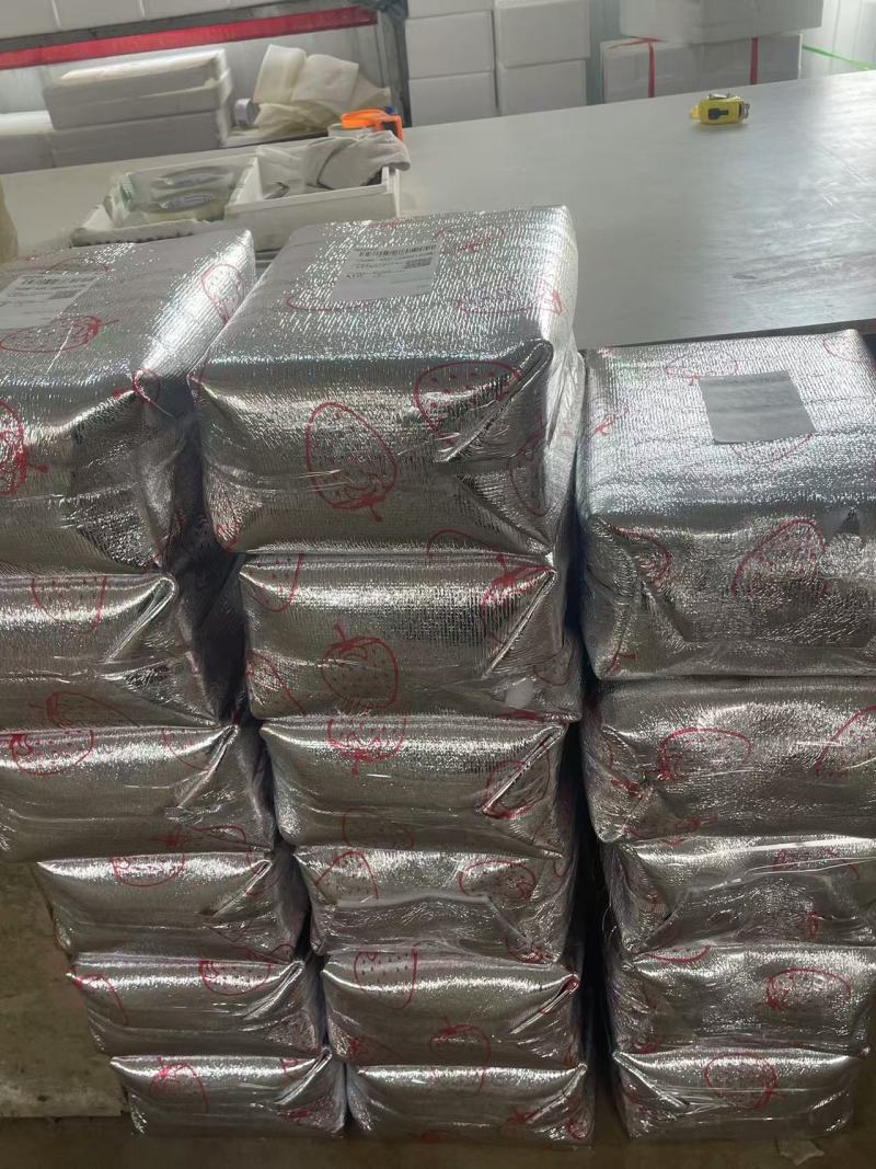 丹东草莓红颜草莓产地直发货源充足可视频看货欢迎下单