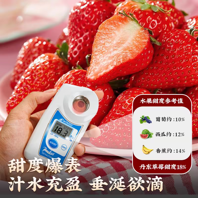 丹东红颜草莓九九草莓产地直发一手货源现摘现发