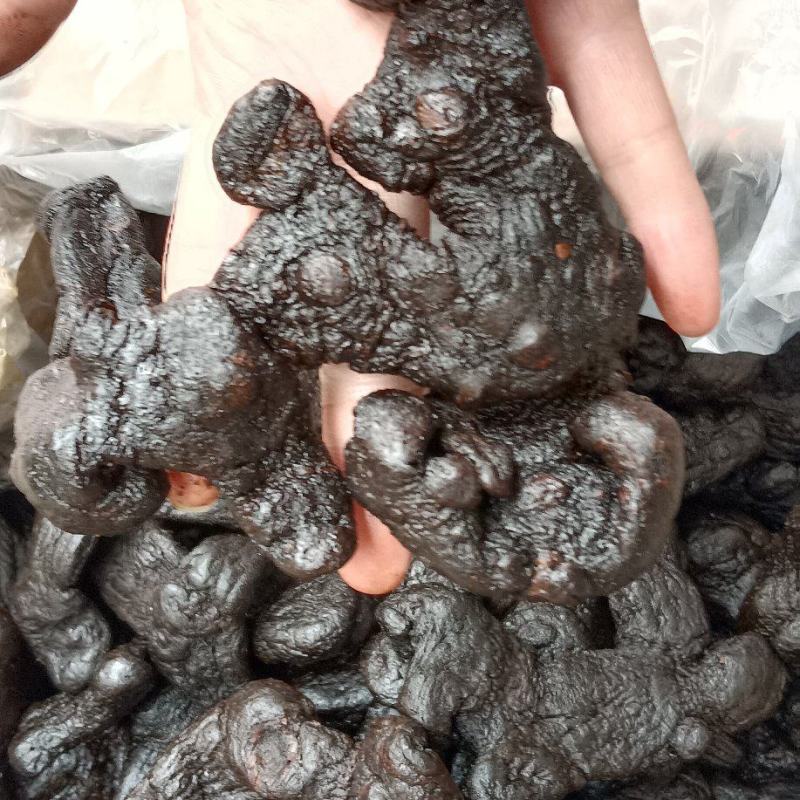 姜黄精，多花黄精