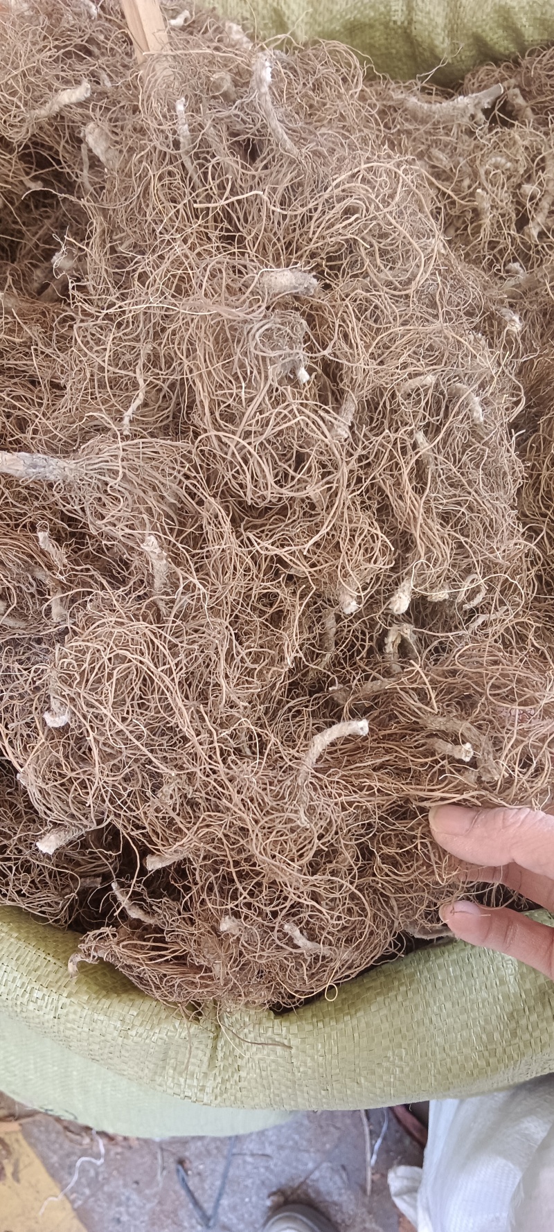 本地水洗地胆头，源头产地直销