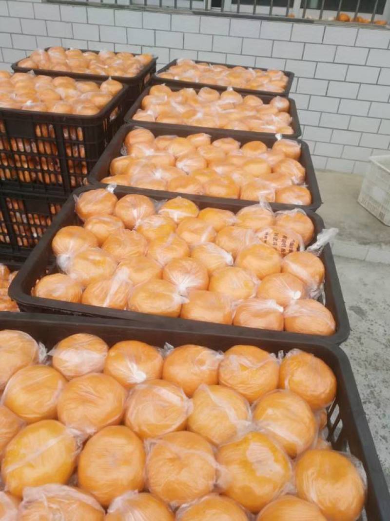 椪柑