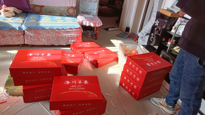 洛川红富士苹果脆甜多汁大小规格都有，货品好，口感正宗