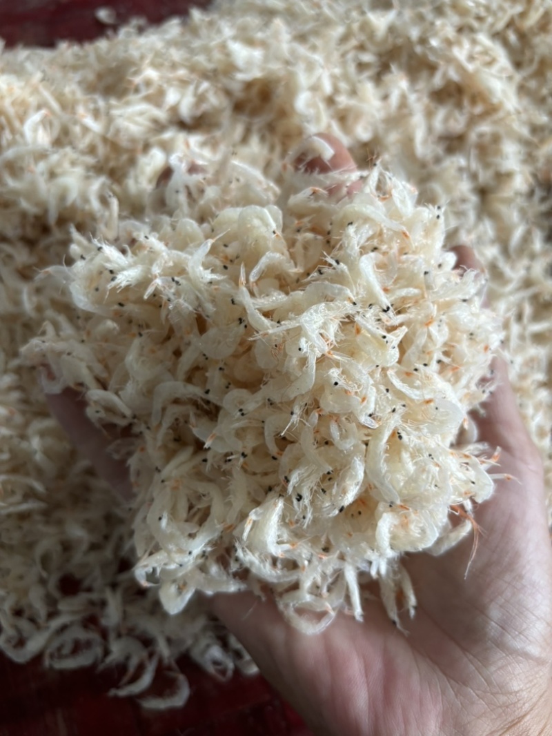 虾皮