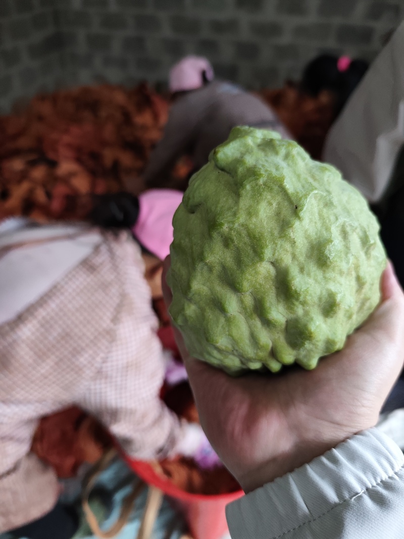 释迦果（凤梨释迦）
