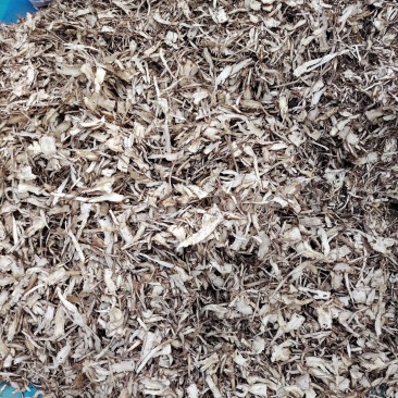 惊喜来袭全归片价格美丽24小时在线服务现货秒发，